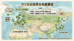 マリモの世界分布概要図